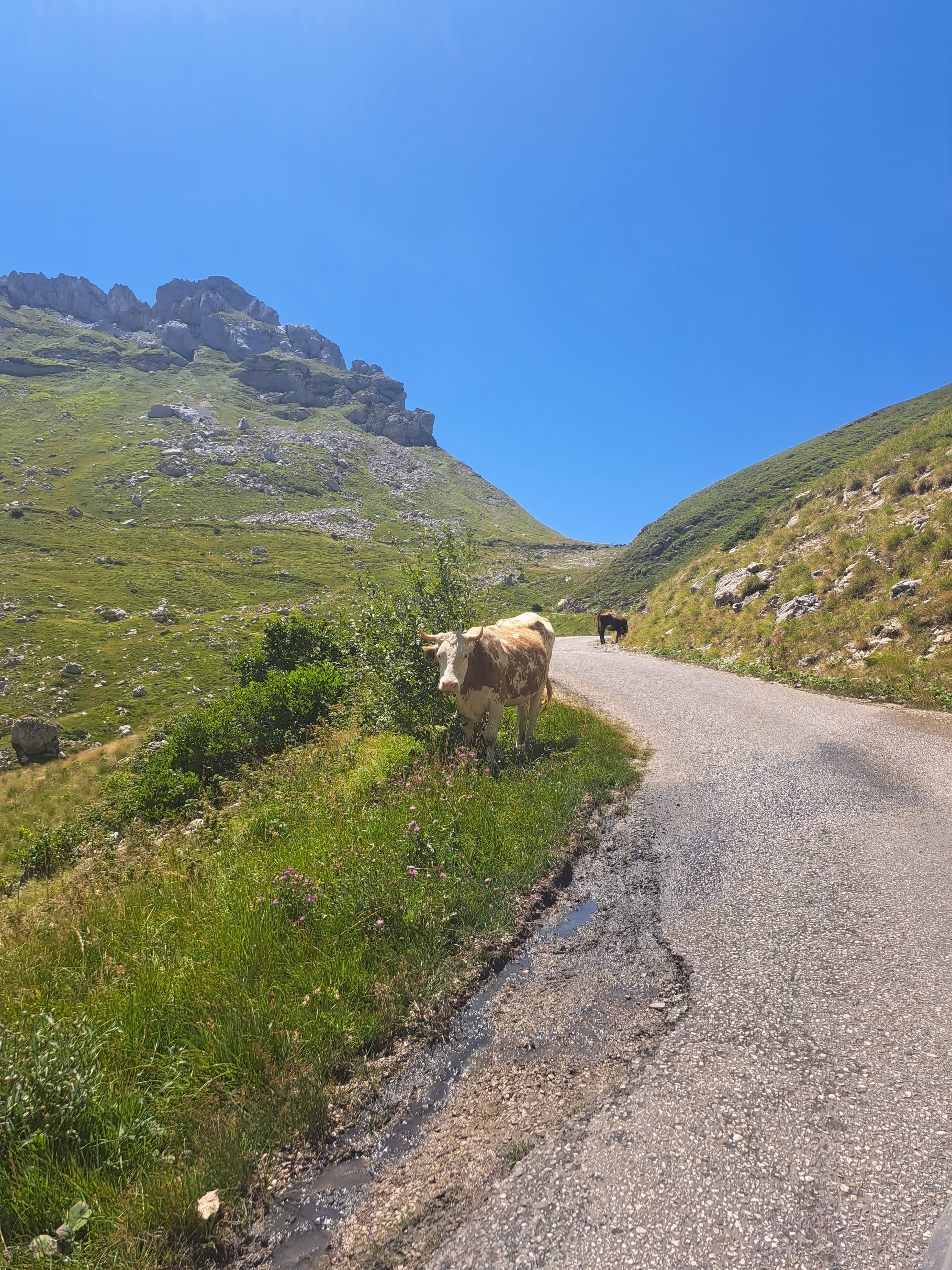 Adventure Experience